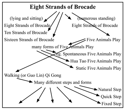 Eight Strands of Brocade evolution chart