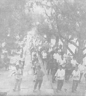 a group of walking qigong practitioners in the park